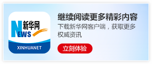 林诗栋蒯曼冠军
