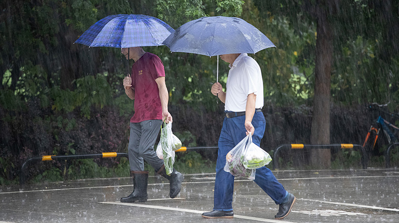 联合国难民署举办研讨会纪念《关于难民地位的公约》通过75周年