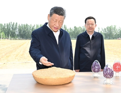 国考岗位表