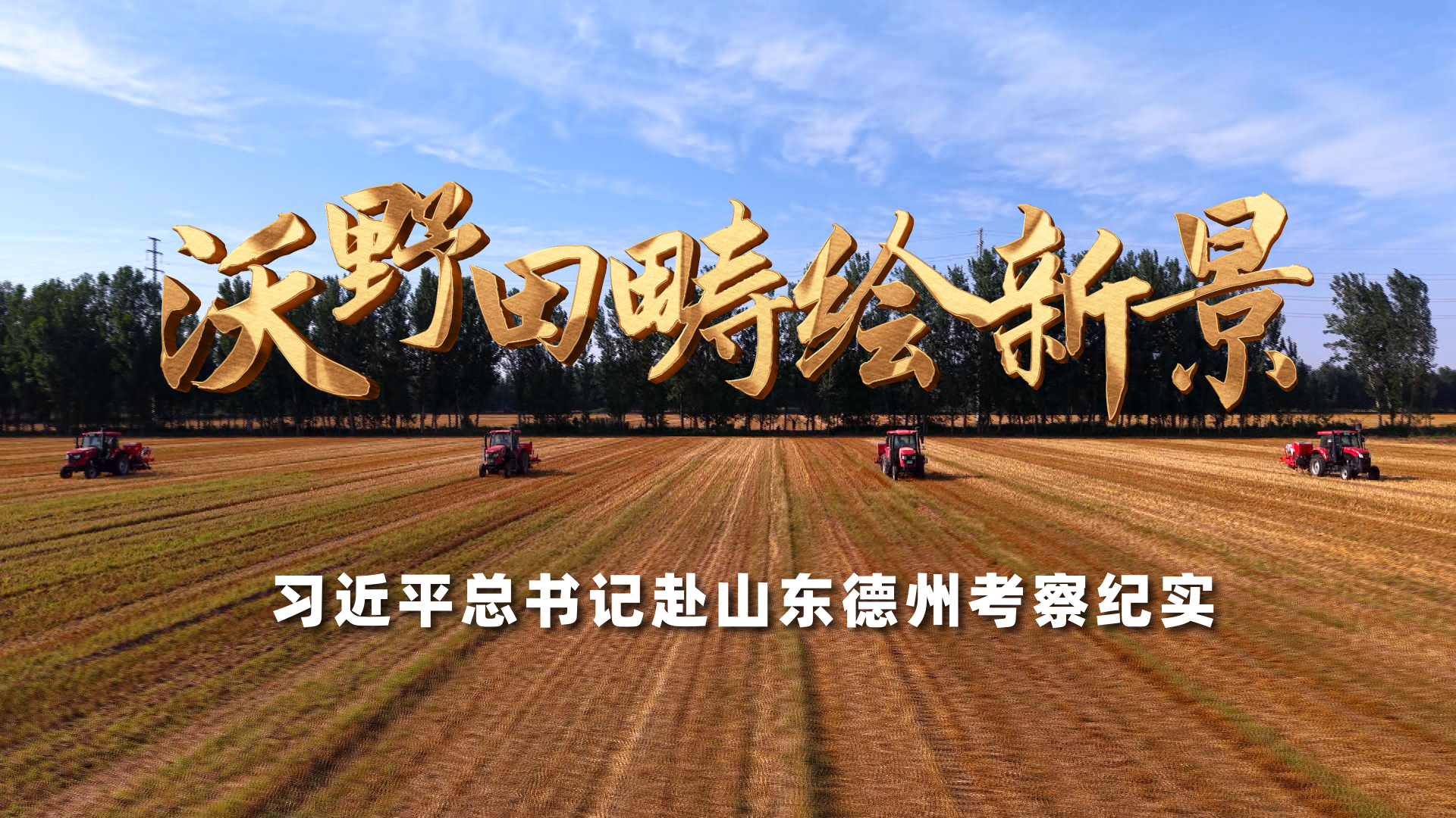 欧美午夜理伦三级在线观看