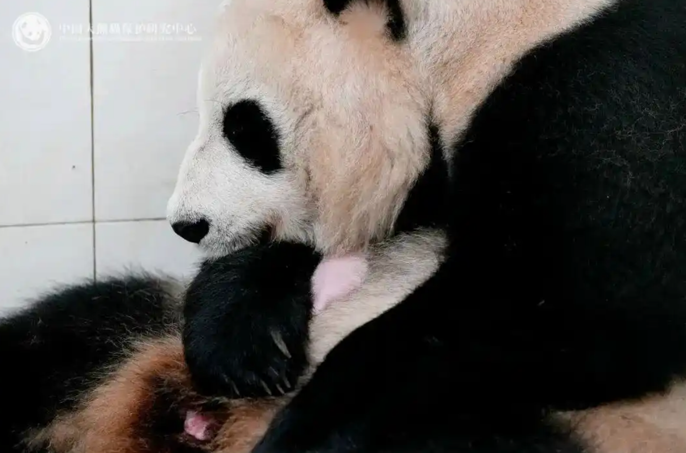 近镜头｜总书记心系“中国饭碗”