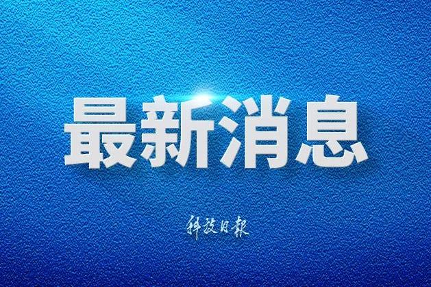 花蝴蝶免费版6集大全多少集