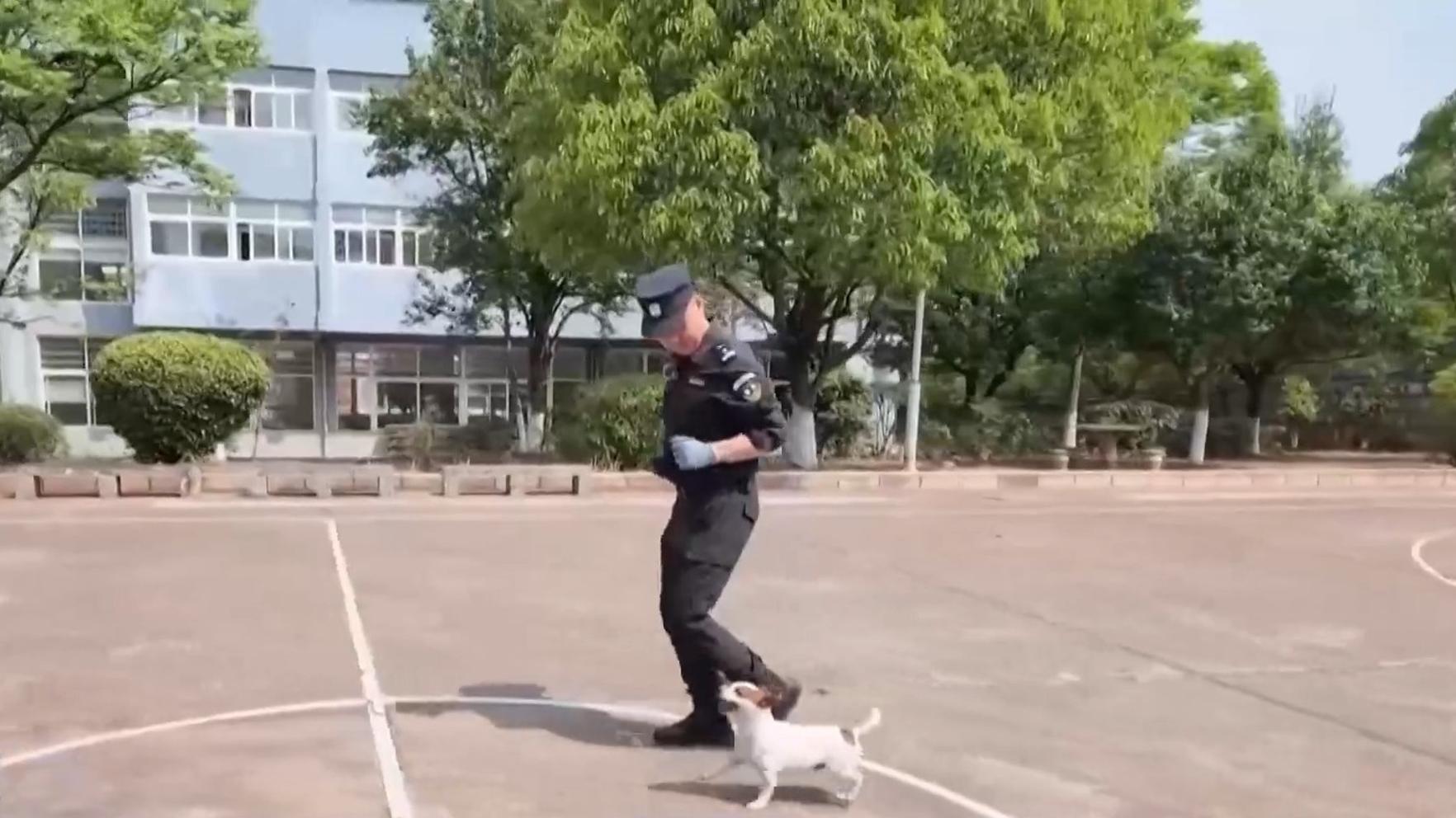 乌克兰获欧盟39亿欧元贷款用于国防