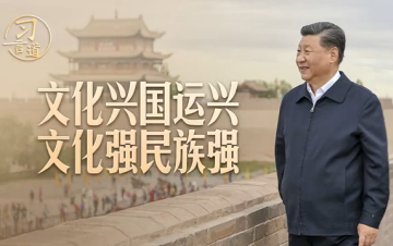 成全视频在线观看大全