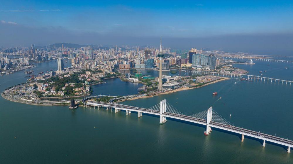 台湾当归